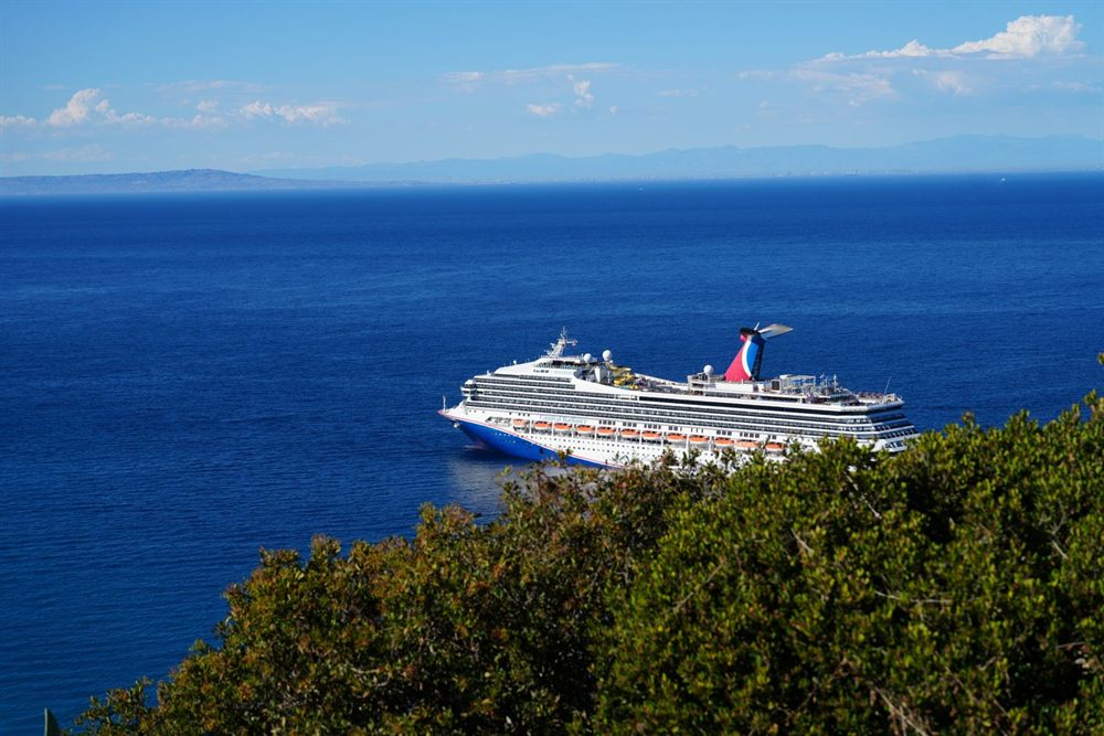 Carnival cruise ship sailing on deep blue sea, seen from a green hillside